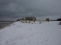 pelzi_10-01-2